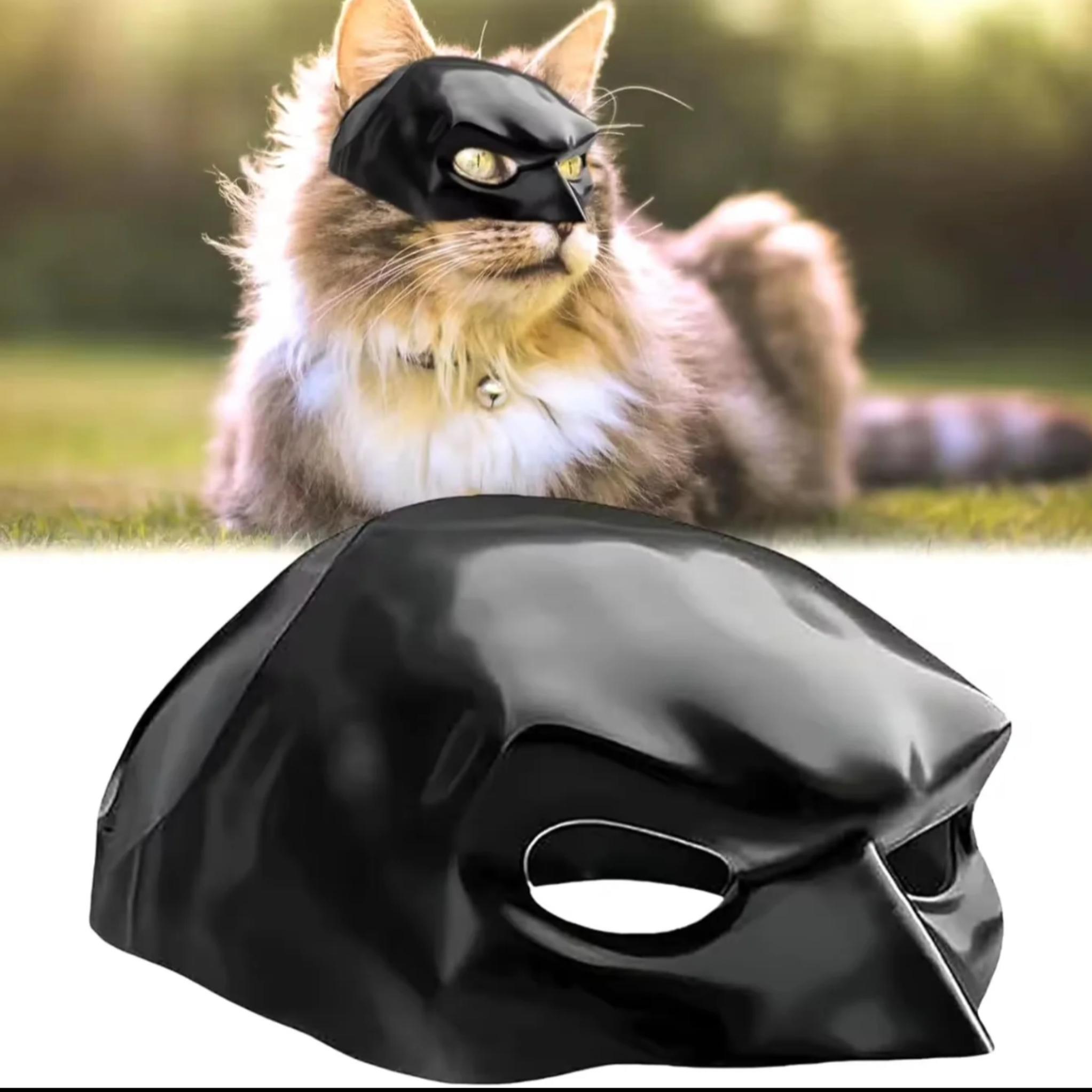Cat-Mask