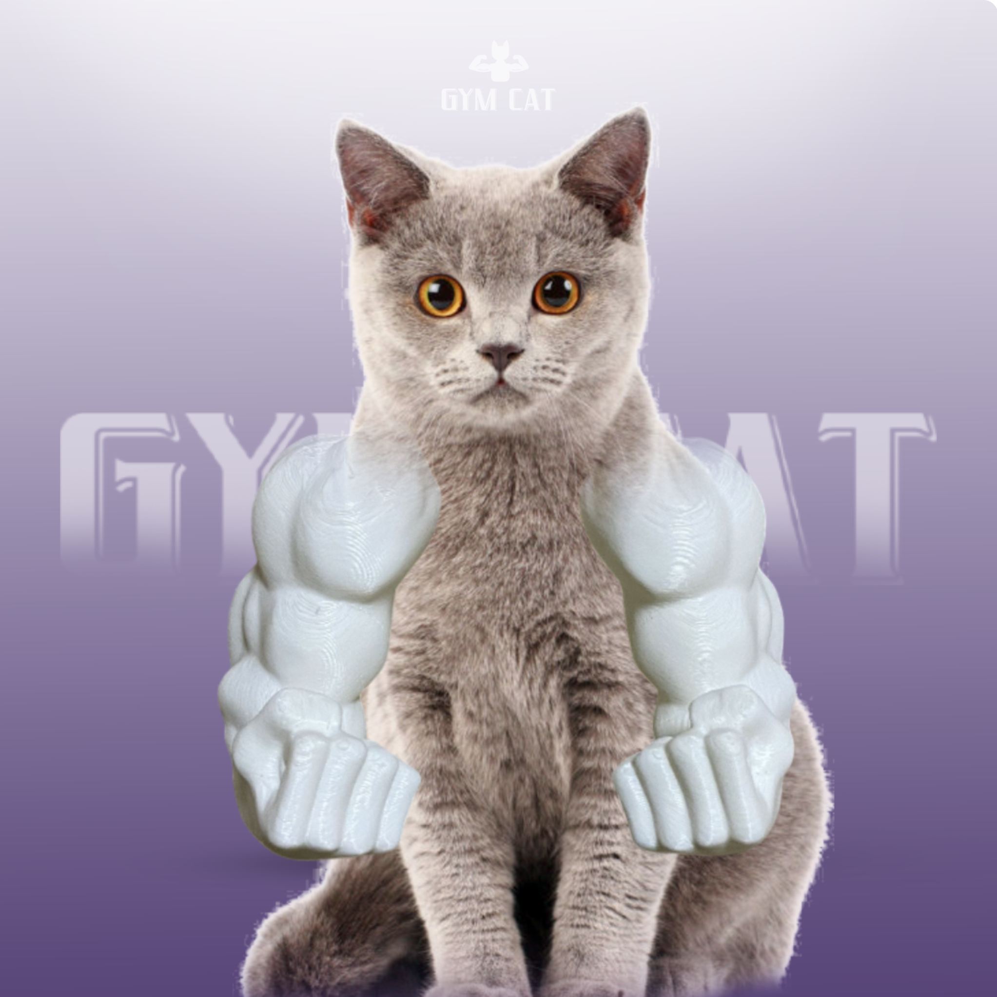 Gym Cat Muscles™