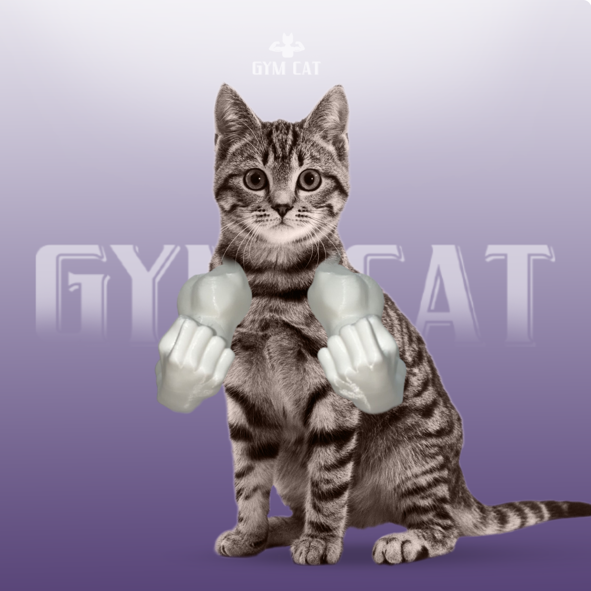 Gym Cat Muscles™